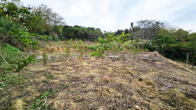 新竹北埔農地-4