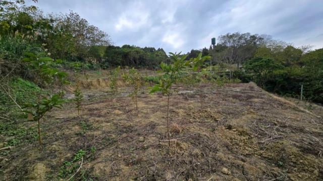 新竹北埔農地_道路地-6