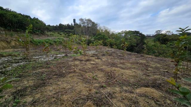 新竹北埔農地_道路地-7