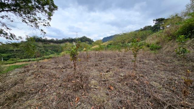 新竹北埔農地_道路地-8