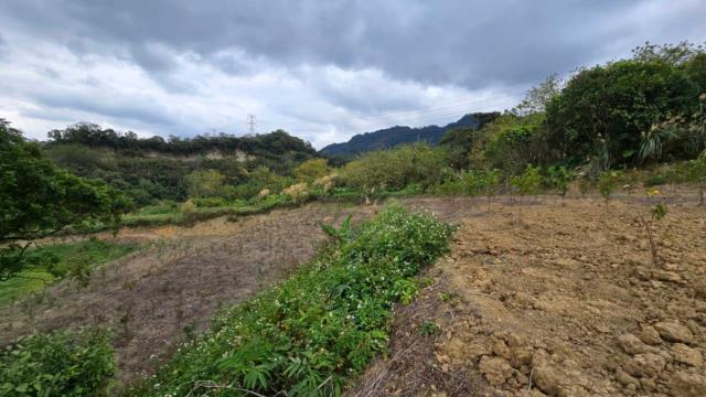 新竹北埔農地_道路地-9