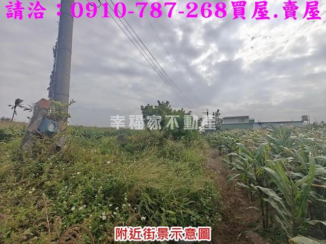 台南佳里農地-10