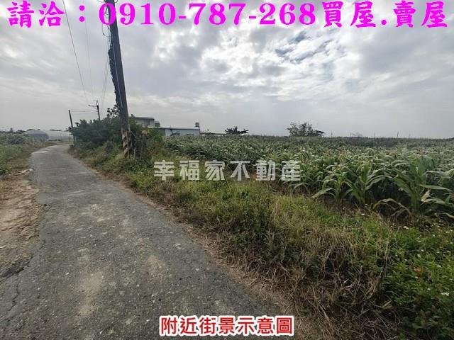 台南佳里農地-7