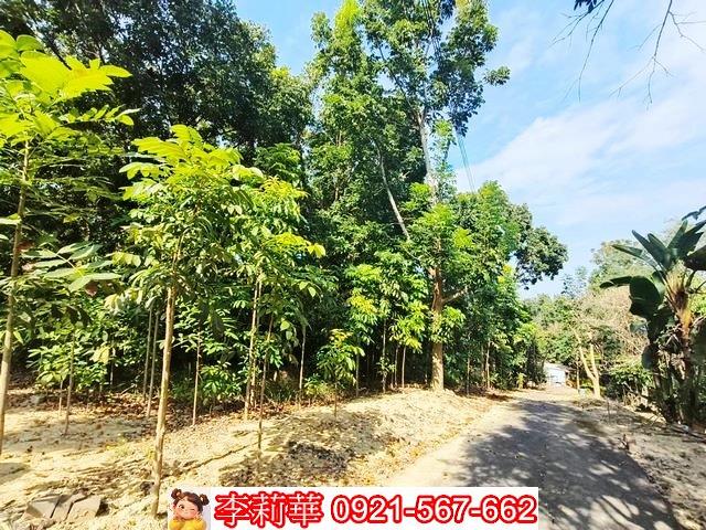 台南關廟農地-11