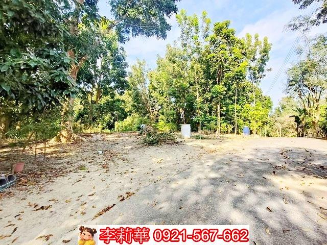 台南關廟農地-4