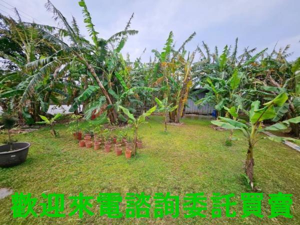 新北三芝農地-3