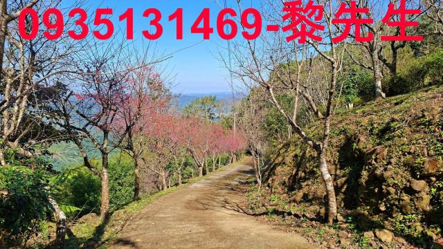 橫山農地_林地-11