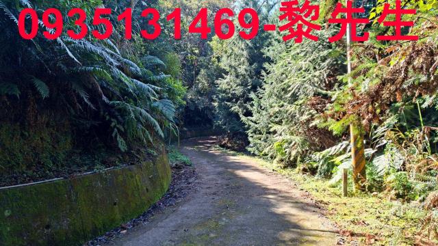 橫山農地_林地-12