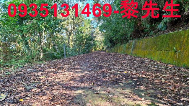 橫山農地_林地-15