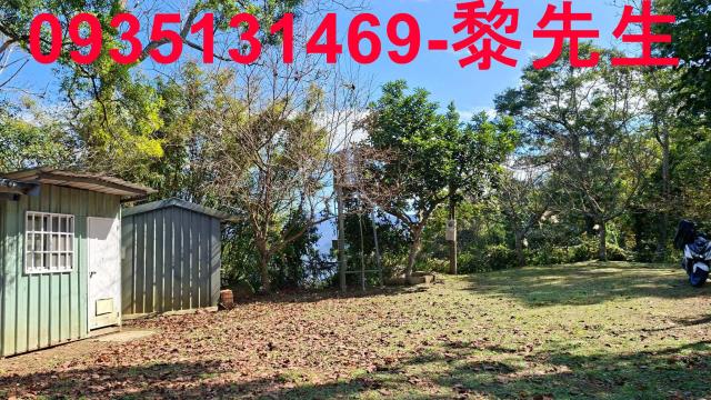 橫山農地_林地-5