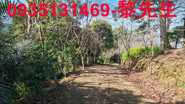 橫山農地_林地-1