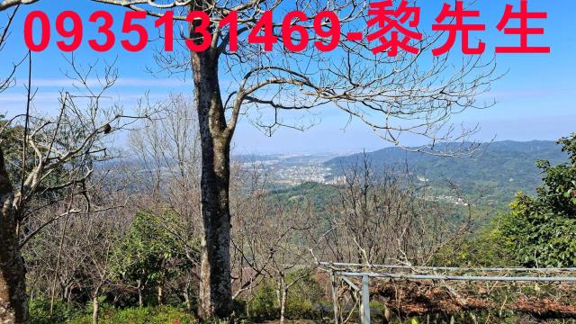 橫山農地_林地-8