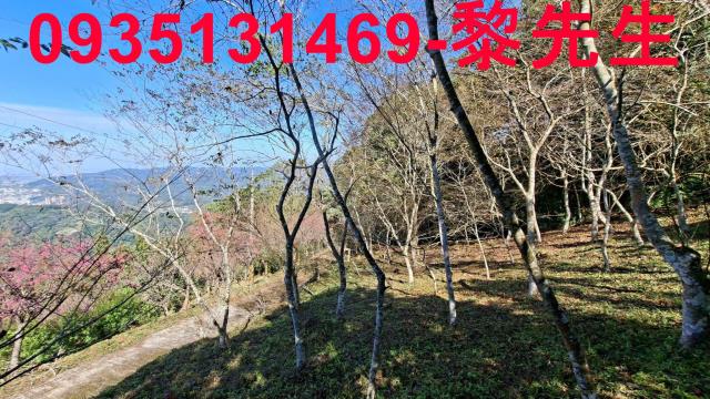 橫山農地_林地-9