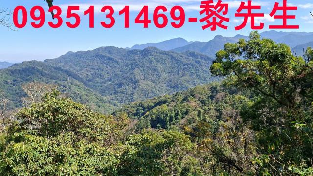 橫山農地_林地-3