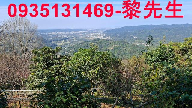 橫山農地_林地-4