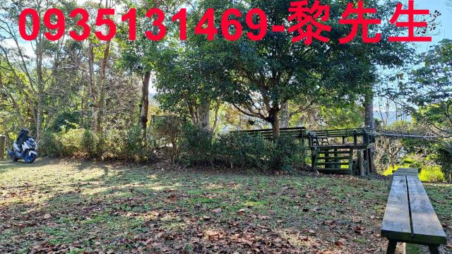 橫山農地_林地-6