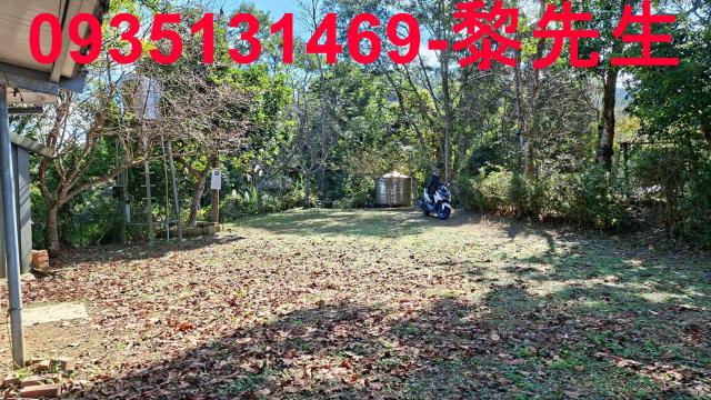 橫山農地_林地-7