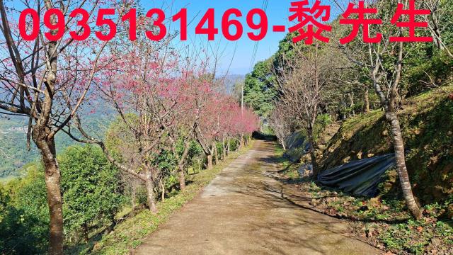 橫山農地_林地-10