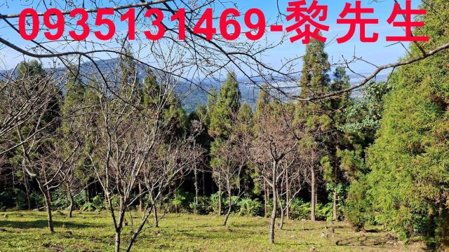 橫山農地_林地-10