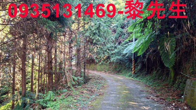 橫山農地_林地-11