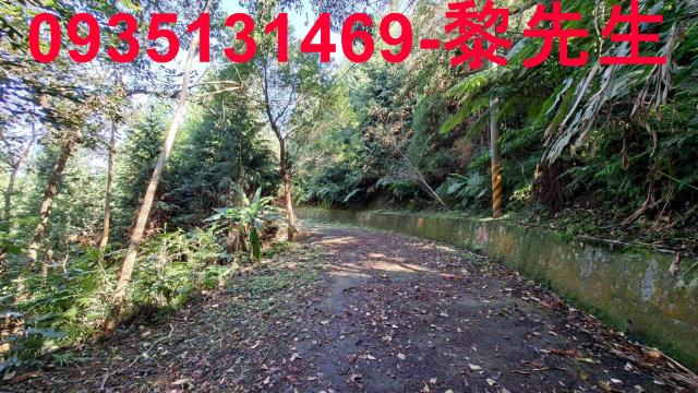 橫山農地_林地-13