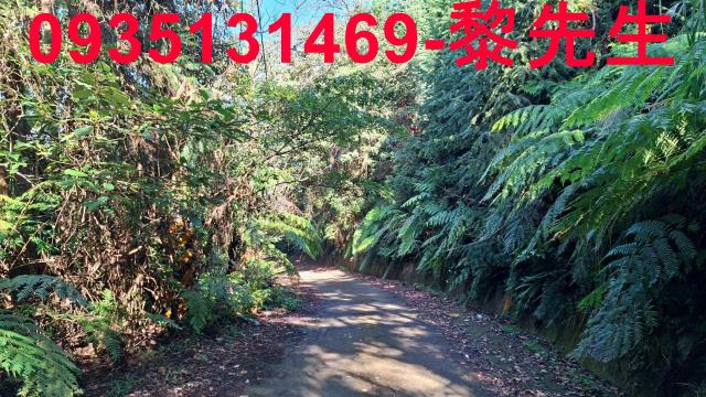 橫山農地_林地-14