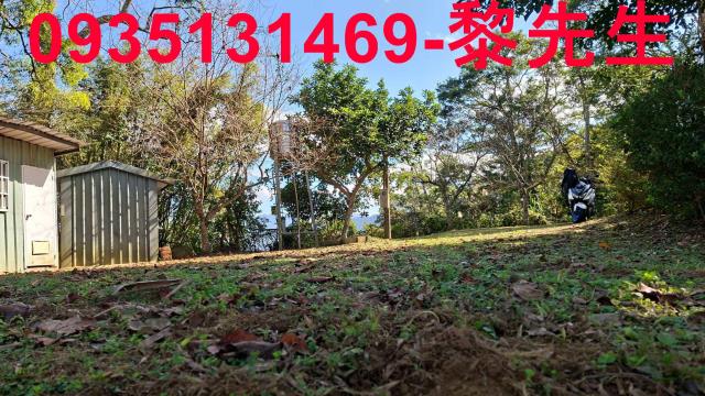 橫山農地_林地-4