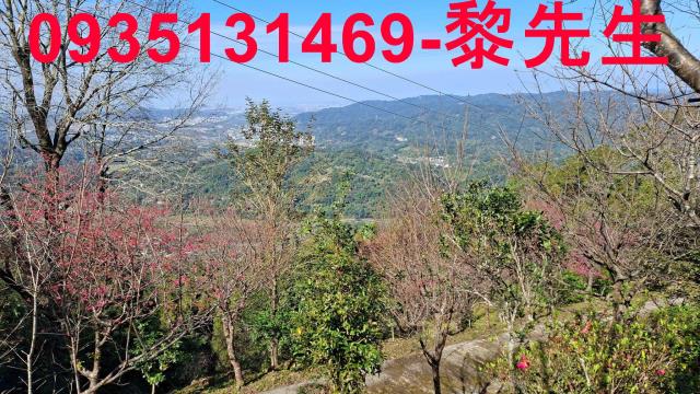 橫山農地_林地-6