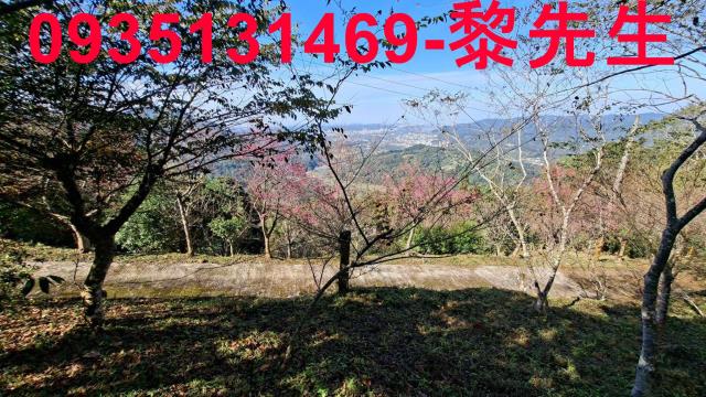 橫山農地_林地-7