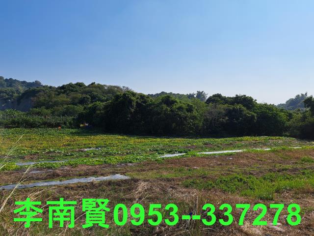 台南農地-8