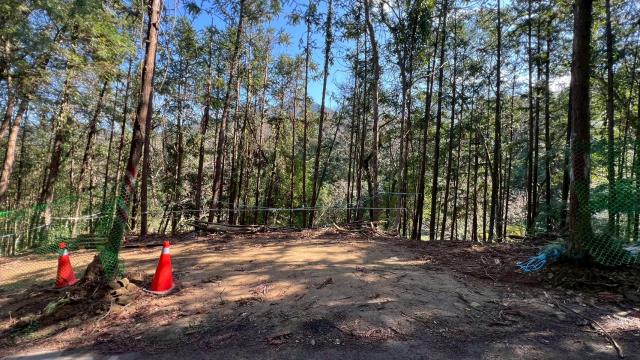 新竹竹東農地_山坡地-12