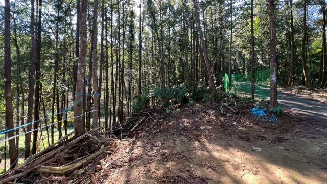 新竹竹東農地_山坡地-14