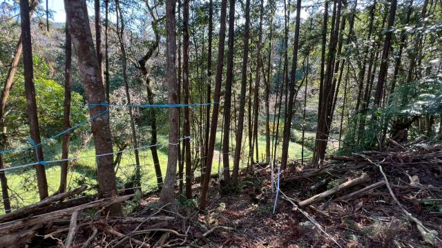 新竹竹東農地_山坡地-15