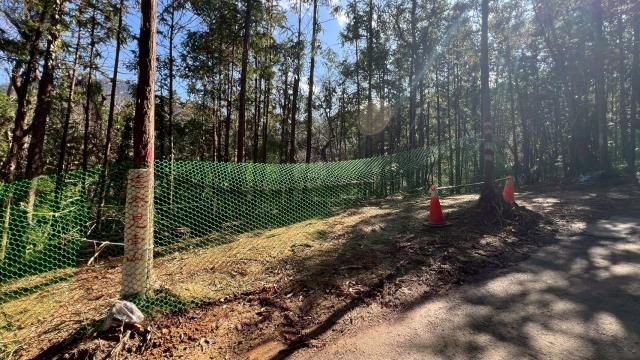 新竹竹東農地_山坡地-11