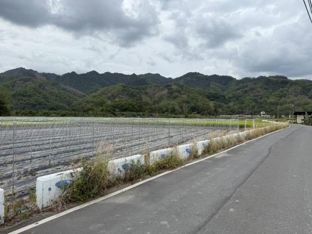 高雄美濃農地-6