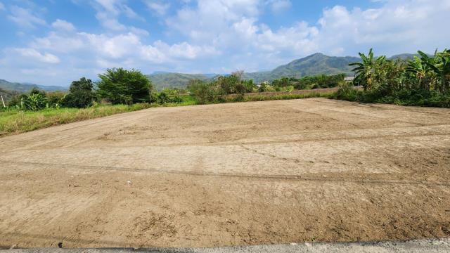 高雄美濃農地-4