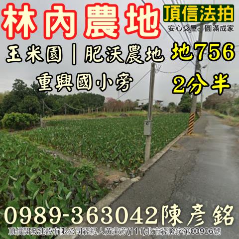 雲林林內法拍農地_休閒地-2