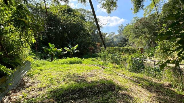 新竹峨眉農地-13