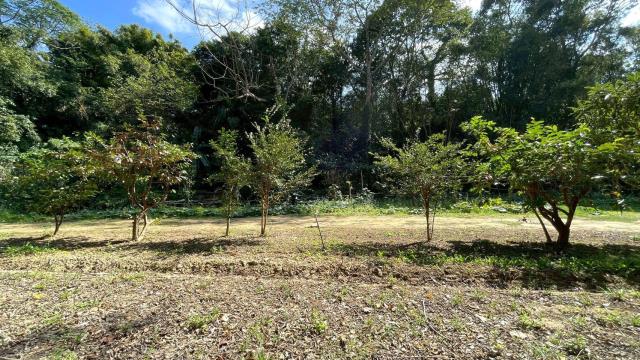 新竹峨眉農地-14