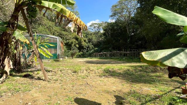 新竹峨眉農地-3