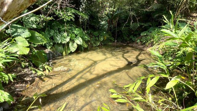 新竹峨眉農地-6