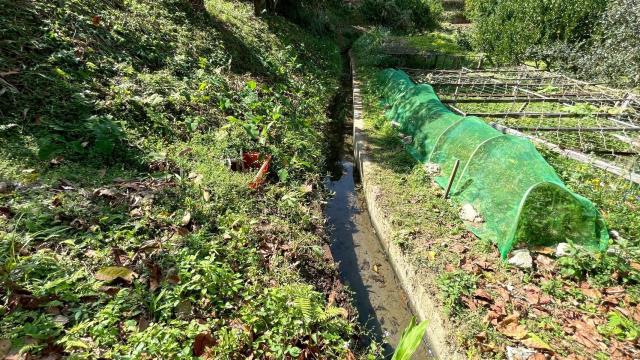 新竹峨眉農地_山坡地-10