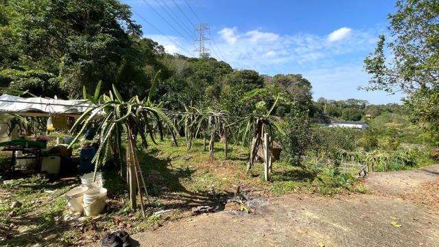 新竹峨眉農地_山坡地-11
