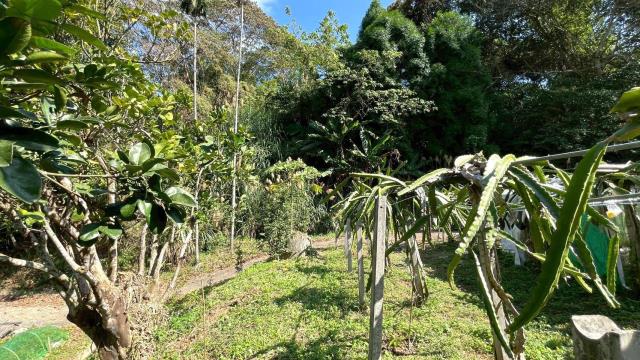 新竹峨眉農地_山坡地-12