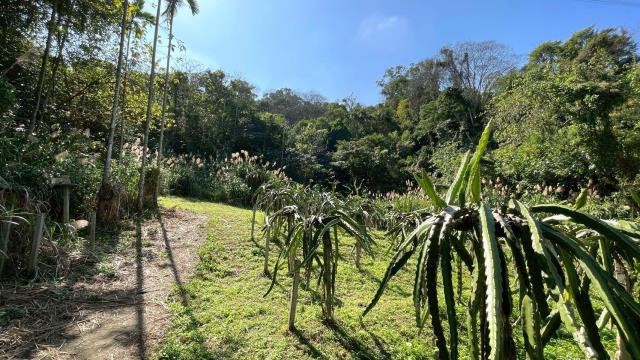 新竹峨眉農地_山坡地-13