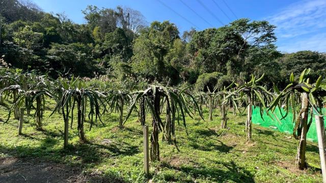 新竹峨眉農地_山坡地-1