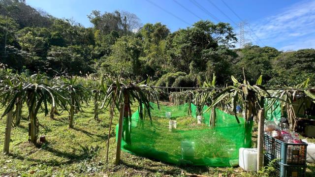 新竹峨眉農地_山坡地-2