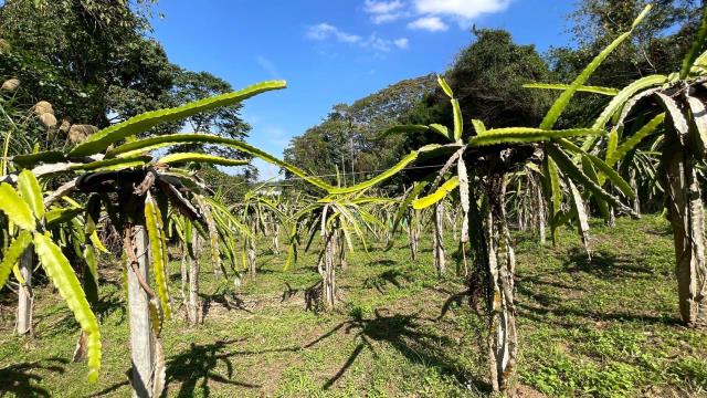新竹峨眉農地_山坡地-4