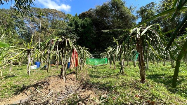 新竹峨眉農地_山坡地-5