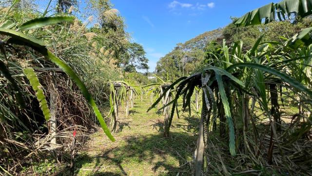 新竹峨眉農地_山坡地-6